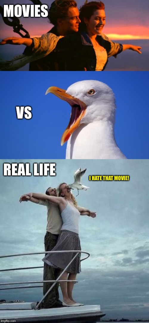 I actually liked Titanic and saw it three times in the theatre  | MOVIES; VS; REAL LIFE; I HATE THAT MOVIE! | image tagged in titanic,seagull,seagulls,leonardo dicaprio,movie | made w/ Imgflip meme maker