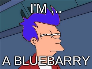 bluebarry | I'M ... A BLUEBARRY | image tagged in memes,blue futurama fry | made w/ Imgflip meme maker