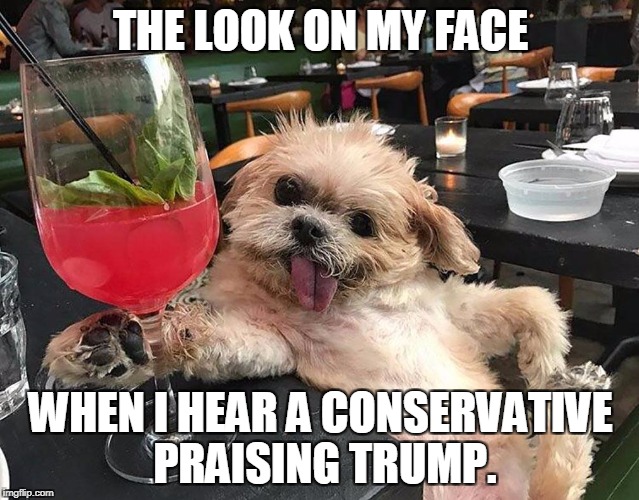 Praise Trump | THE LOOK ON MY FACE; WHEN I HEAR A CONSERVATIVE PRAISING TRUMP. | image tagged in trump,donald trump is an idiot | made w/ Imgflip meme maker