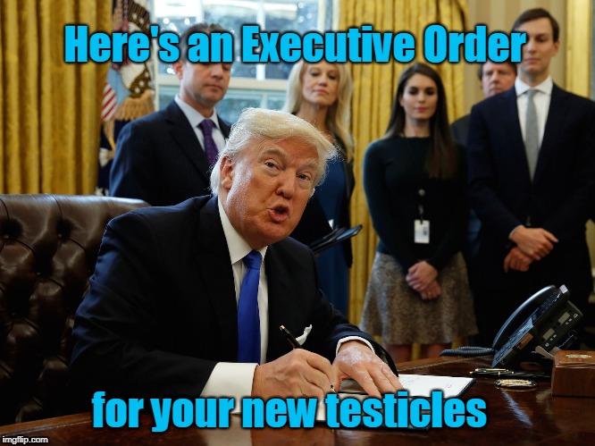Trump signs E.O. for your new testicles | Here's an Executive Order; for your new testicles | image tagged in trump signing document,testicles | made w/ Imgflip meme maker