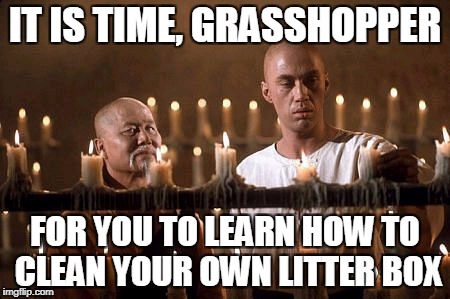 IT IS TIME, GRASSHOPPER FOR YOU TO LEARN HOW TO CLEAN YOUR OWN LITTER BOX | made w/ Imgflip meme maker