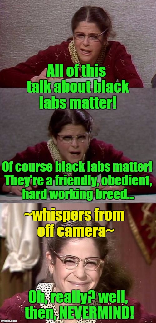 Might be a repost, but I guess that this is the week to do that! | All of this talk about black labs matter! Of course black labs matter! They're a friendly, obedient, hard working breed... ~whispers from off camera~; Oh, really? well, then, NEVERMIND! | image tagged in bad pun gilda radner playing emily litella,black lives matter,black labs,dogs,repost | made w/ Imgflip meme maker