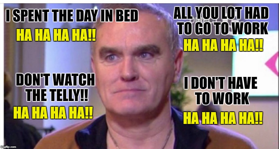 Its a hard life for Morrisey...
 | ALL YOU LOT HAD TO GO TO WORK; I SPENT THE DAY IN BED; HA HA HA HA!! HA HA HA HA!! DON'T WATCH THE TELLY!! I DON'T HAVE TO WORK; HA HA HA HA!! HA HA HA HA!! | image tagged in morrissey,depression sadness hurt pain anxiety,depression,depressed cat | made w/ Imgflip meme maker