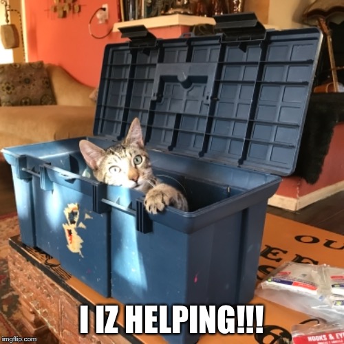 My Roommate’s Cat Wants to Help With House Repairs | I IZ HELPING!!! | image tagged in funny cats,lolcats,lolcat,a helping hand,helping | made w/ Imgflip meme maker