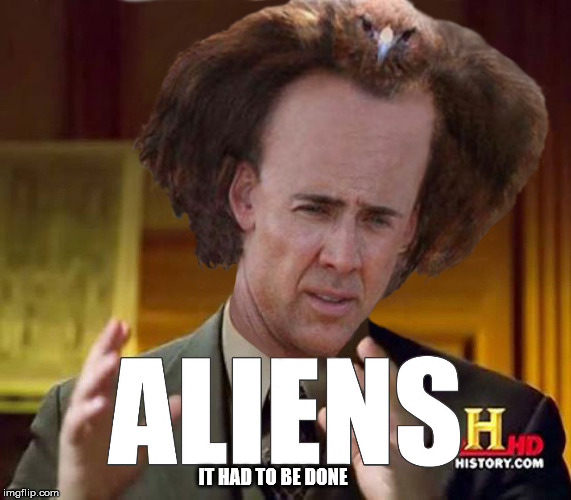 "Nicholas Cage Bird hair Aliens guy" | IT HAD TO BE DONE | image tagged in aliens,hair is a bird,nicholas cage,douknowwhatimeme,rash,diabeetus | made w/ Imgflip meme maker