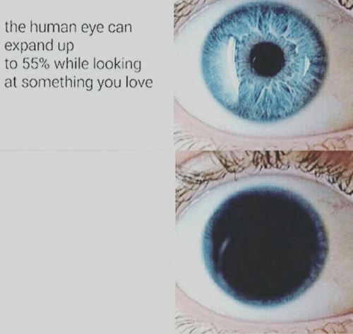 High Quality Eye pupil expand Blank Meme Template