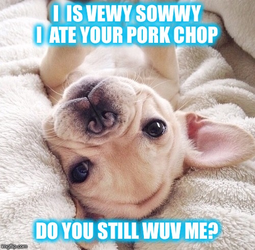 I want one of these little cuties! | I  IS VEWY SOWWY I  ATE YOUR PORK CHOP; DO YOU STILL WUV ME? | image tagged in cute puppies,sorry | made w/ Imgflip meme maker