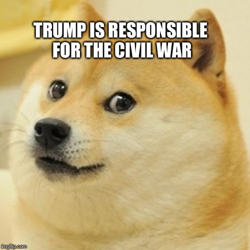 Doge Meme | TRUMP IS RESPONSIBLE FOR THE CIVIL WAR | image tagged in memes,doge | made w/ Imgflip meme maker
