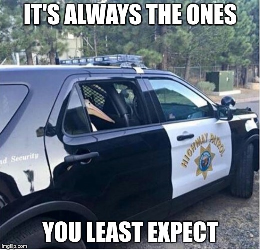 Jail Bird | IT'S ALWAYS THE ONES; YOU LEAST EXPECT | image tagged in memes,funny,bird,expect,police,always | made w/ Imgflip meme maker