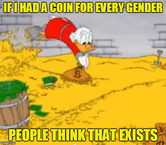 Seriously?What f*cking genders could there be other than male or female?I'll sit here as I wait for your answer | IF I HAD A COIN FOR EVERY GENDER; PEOPLE THINK THAT EXISTS | image tagged in memes,gold,money,gender,if i had one,logic | made w/ Imgflip meme maker