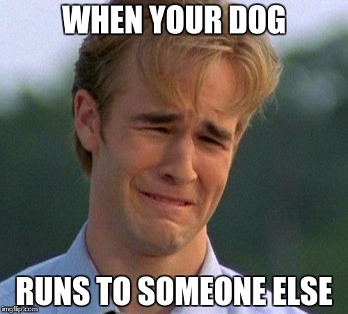 1990s First World Problems | WHEN YOUR DOG; RUNS TO SOMEONE ELSE | image tagged in memes,1990s first world problems | made w/ Imgflip meme maker