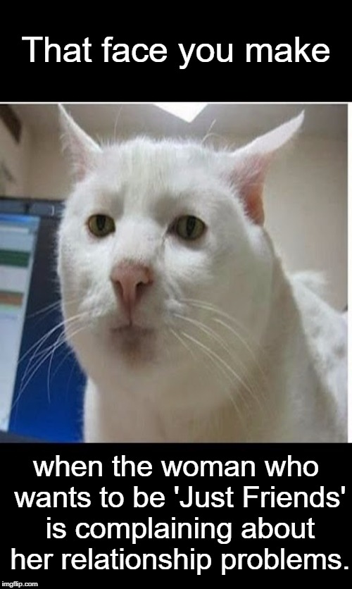When caring takes more effort than it's worth. | That face you make; when the woman who wants to be 'Just Friends' is complaining about her relationship problems. | image tagged in friendzone,friendzoned,beyond caring,that face you make,that face you make when,memes | made w/ Imgflip meme maker