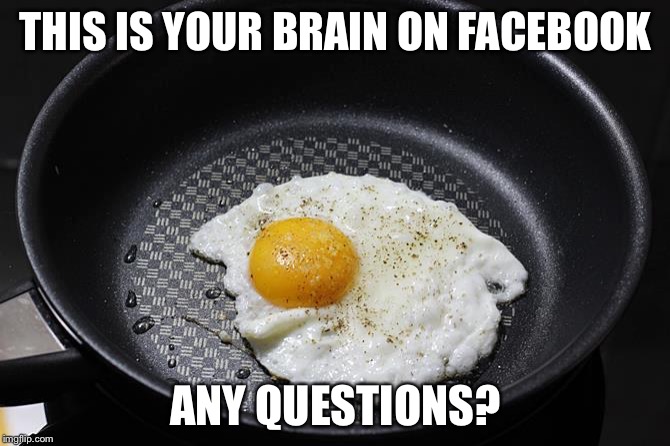 THIS IS YOUR BRAIN ON FACEBOOK ANY QUESTIONS? | made w/ Imgflip meme maker
