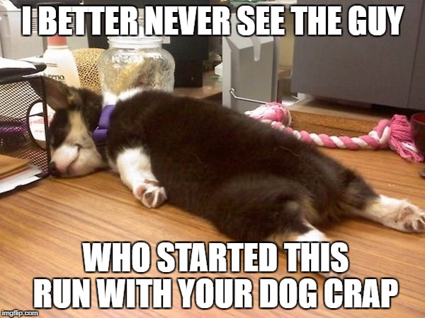Dog Run | I BETTER NEVER SEE THE GUY; WHO STARTED THIS RUN WITH YOUR DOG CRAP | image tagged in cute dog,tired dog,exhausted,dog walking | made w/ Imgflip meme maker