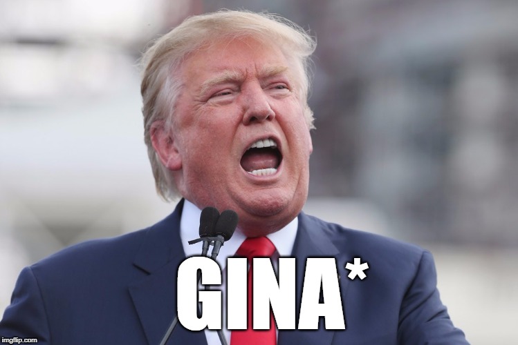 GINA* | made w/ Imgflip meme maker