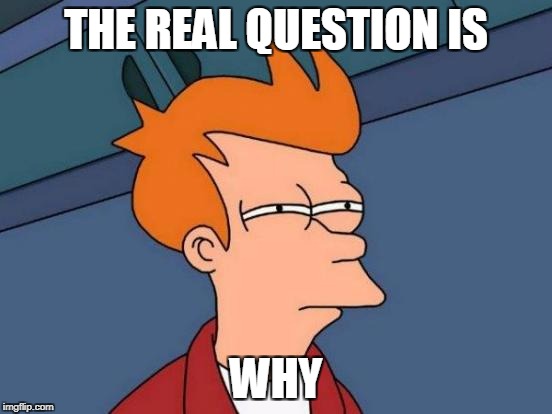 THE REAL QUESTION IS WHY | image tagged in memes,futurama fry | made w/ Imgflip meme maker