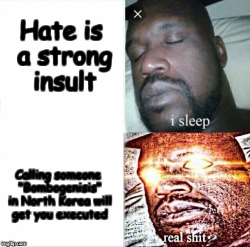 My first meme using (Comic) Sans! | Hate is a strong insult; Calling someone "Bombogenisis" in North Korea will get you executed | image tagged in sleeping shaq,north korea,messed up,society,insults,comic sans | made w/ Imgflip meme maker