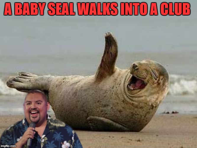 A BABY SEAL WALKS INTO A CLUB | image tagged in awkward moment seal | made w/ Imgflip meme maker