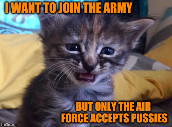 Military Week Nov 5-11th a Chad-, DashHopes, JBmemegeek & SpursFanFromAround event | I WANT TO JOIN THE ARMY; BUT ONLY THE AIR FORCE ACCEPTS PUSSIES | image tagged in memes,funny,military,military week,army,air force | made w/ Imgflip meme maker