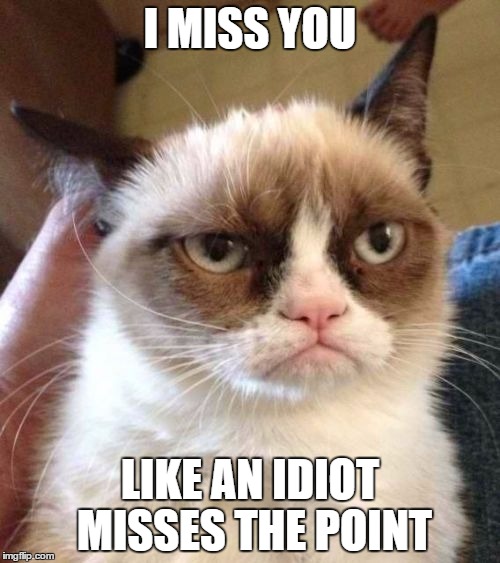 Grumpy Cat Reverse | I MISS YOU; LIKE AN IDIOT MISSES THE POINT | image tagged in memes,grumpy cat reverse,grumpy cat | made w/ Imgflip meme maker