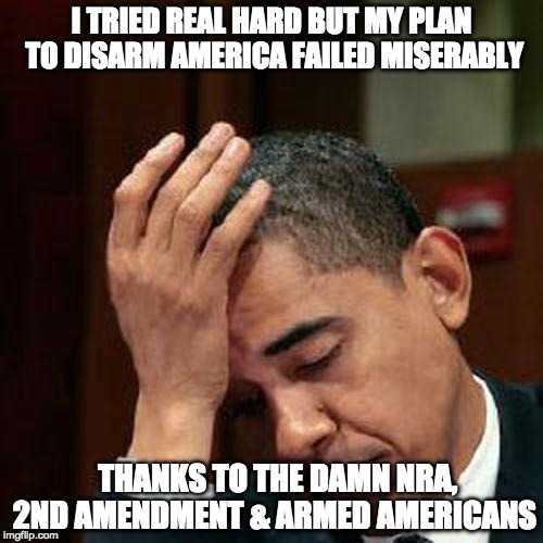 Obama Facepalm 250px | I TRIED REAL HARD BUT MY PLAN TO DISARM AMERICA FAILED MISERABLY; THANKS TO THE DAMN NRA, 2ND AMENDMENT & ARMED AMERICANS | image tagged in obama facepalm 250px | made w/ Imgflip meme maker
