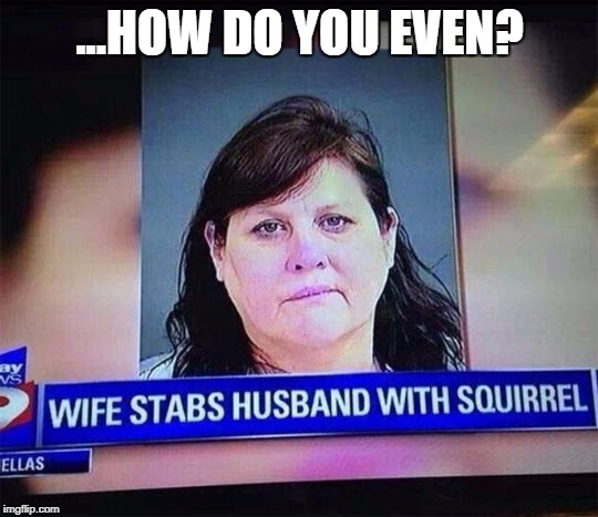 ...was it a particularly pointy squirrel? | ...HOW DO YOU EVEN? | image tagged in squirrel stabber,wtf,how do you even,what | made w/ Imgflip meme maker