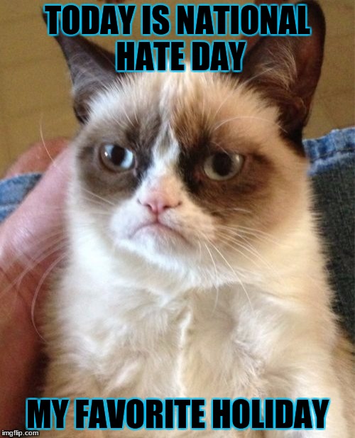 Grumpy Cat Meme | TODAY IS NATIONAL HATE DAY; MY FAVORITE HOLIDAY | image tagged in memes,grumpy cat | made w/ Imgflip meme maker
