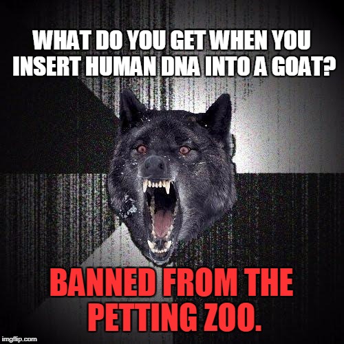 Insanity Wolf Meme | WHAT DO YOU GET WHEN YOU INSERT HUMAN DNA INTO A GOAT? BANNED FROM THE PETTING ZOO. | image tagged in memes,insanity wolf | made w/ Imgflip meme maker