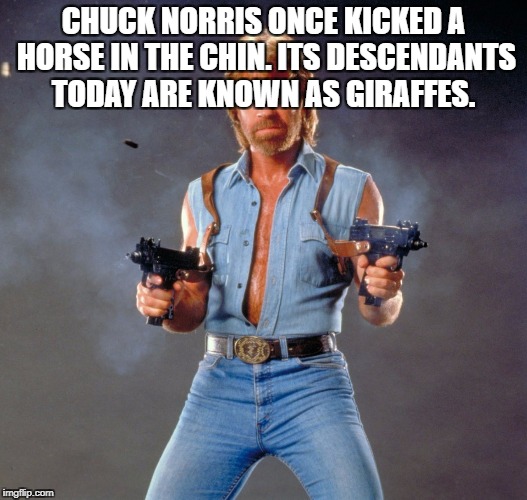 Chuck Norris Guns | CHUCK NORRIS ONCE KICKED A HORSE IN THE CHIN. ITS DESCENDANTS TODAY ARE KNOWN AS GIRAFFES. | image tagged in memes,chuck norris guns,chuck norris | made w/ Imgflip meme maker