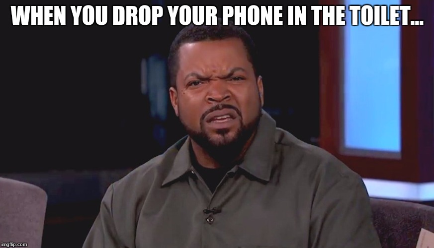 For Real bruh? | WHEN YOU DROP YOUR PHONE IN THE TOILET... | image tagged in for real bruh | made w/ Imgflip meme maker