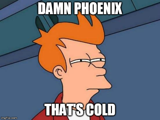 Futurama Fry Meme | DAMN PHOENIX THAT'S COLD | image tagged in memes,futurama fry | made w/ Imgflip meme maker