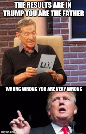 THE RESULTS ARE IN TRUMP YOU ARE THE FATHER; WRONG WRONG YOU ARE VERY WRONG | image tagged in donald trump,funny,maury | made w/ Imgflip meme maker