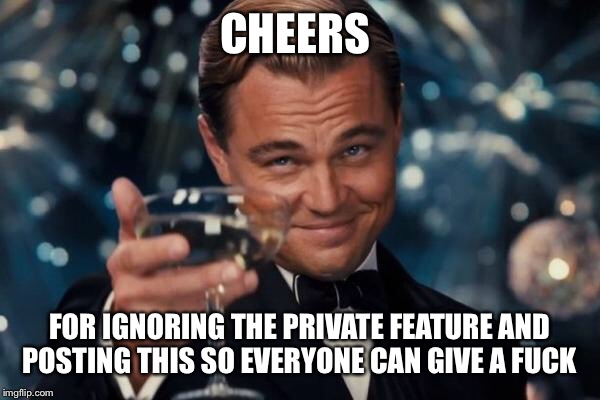 Leonardo Dicaprio Cheers Meme | CHEERS FOR IGNORING THE PRIVATE FEATURE AND POSTING THIS SO EVERYONE CAN GIVE A F**K | image tagged in memes,leonardo dicaprio cheers | made w/ Imgflip meme maker