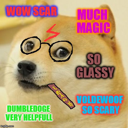 Hairy porter from the magical school "slobberin" | MUCH MAGIC; WOW SCAR; SO GLASSY; VOLDEWOOF SO SCARY; DUMBLEDOGE VERY HELPFULL | image tagged in memes,doge,harry potter | made w/ Imgflip meme maker