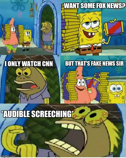 lets C-NN the truth | WANT SOME FOX NEWS? I ONLY WATCH CNN; BUT THAT'S FAKE NEWS SIR; *AUDIBLE SCREECHING* | image tagged in memes,chocolate spongebob | made w/ Imgflip meme maker