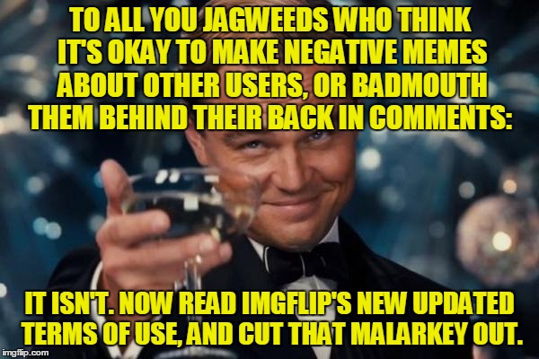 Ignoring, downvoting, or flagging bad memes and comments is okay. Making memes and comments to attack other users is not. | TO ALL YOU JAGWEEDS WHO THINK IT'S OKAY TO MAKE NEGATIVE MEMES ABOUT OTHER USERS, OR BADMOUTH THEM BEHIND THEIR BACK IN COMMENTS:; IT ISN'T. NOW READ IMGFLIP'S NEW UPDATED TERMS OF USE, AND CUT THAT MALARKEY OUT. | image tagged in memes,imgflip,terms,bad behavior,nsfw weekend,thank you mods | made w/ Imgflip meme maker