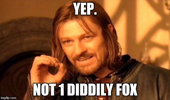One Does Not Simply Meme | YEP. NOT 1 DIDDILY FOX | image tagged in memes,one does not simply | made w/ Imgflip meme maker