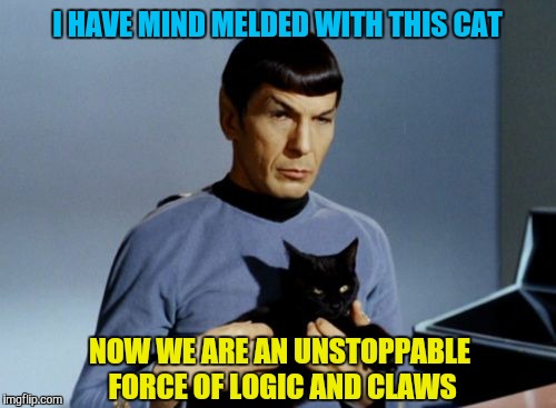 A star trek anonymous week by ? and people | I HAVE MIND MELDED WITH THIS CAT; NOW WE ARE AN UNSTOPPABLE FORCE OF LOGIC AND CLAWS | image tagged in memes,star trek week,anonymous meme week,spock,cats | made w/ Imgflip meme maker
