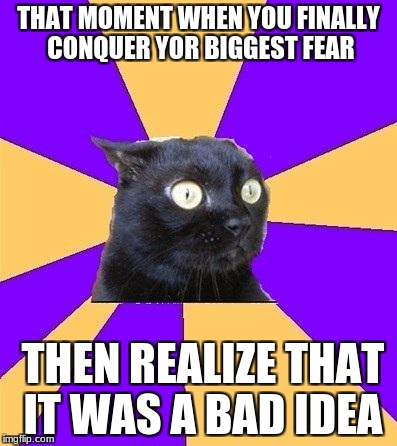 anxiety cat | THAT MOMENT WHEN YOU FINALLY CONQUER YOR BIGGEST FEAR; THEN REALIZE THAT IT WAS A BAD IDEA | image tagged in anxiety cat | made w/ Imgflip meme maker
