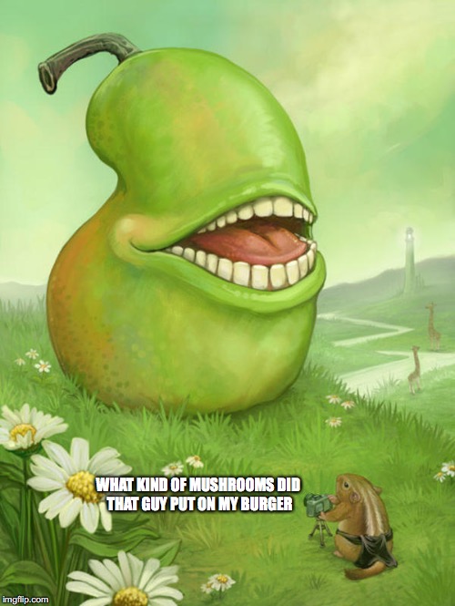 Lol wut pear | WHAT KIND OF MUSHROOMS DID THAT GUY PUT ON MY BURGER | image tagged in lol wut pear | made w/ Imgflip meme maker