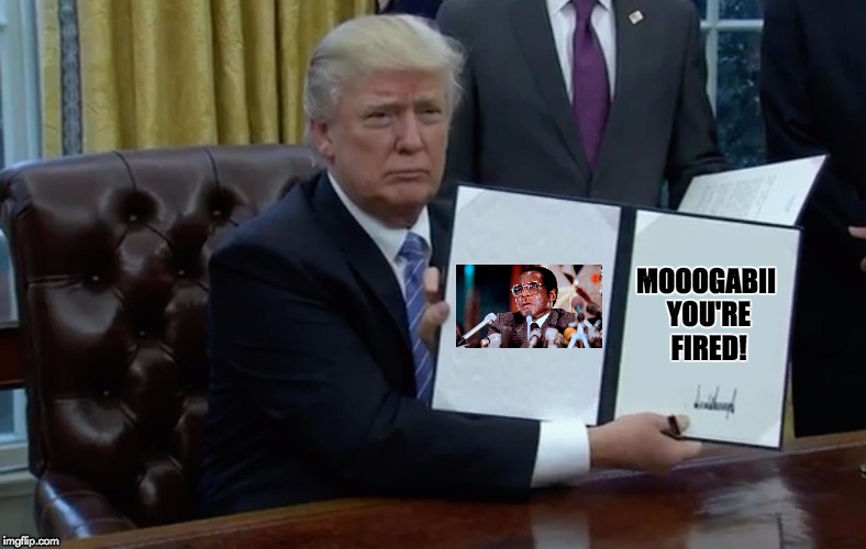 Executive Order Trump | MOOOGABII YOU'RE FIRED! | image tagged in executive order trump | made w/ Imgflip meme maker