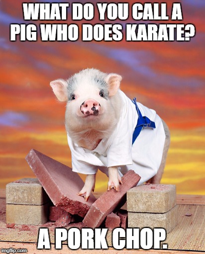 Such A Ham | WHAT DO YOU CALL A PIG WHO DOES KARATE? A PORK CHOP. | image tagged in memes,meme,pig,pigs,karate | made w/ Imgflip meme maker