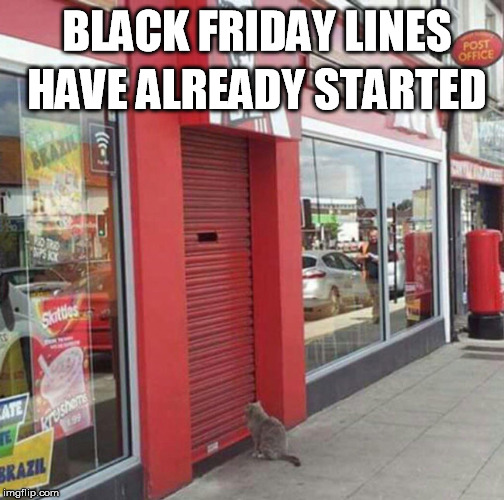 BlackFriday | HAVE ALREADY STARTED; BLACK FRIDAY LINES | image tagged in black friday,lines | made w/ Imgflip meme maker