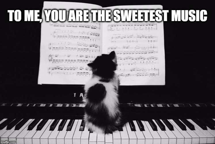 Positive Meme Weekend. It's My Event. Blah Blah Blah. Ripper13. 12/8-12/11 | TO ME, YOU ARE THE SWEETEST MUSIC | image tagged in positive meme weekend,music,i love you,positivity,kitten,piano | made w/ Imgflip meme maker