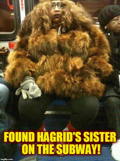 You find the strangest things on the subway! | FOUND HAGRID'S SISTER ON THE SUBWAY! | image tagged in hagrid,harry potter | made w/ Imgflip meme maker
