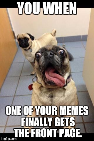 Yes thank you | YOU WHEN; ONE OF YOUR MEMES FINALLY GETS THE FRONT PAGE. | image tagged in so excited | made w/ Imgflip meme maker