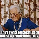 Old woman at pc | SHOULDN’T THOSE ON SOCIAL SECURITY RECEIVE A ‘LIVING WAGE’ TOO? | image tagged in old woman at pc | made w/ Imgflip meme maker