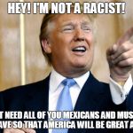 Donald Trump Pointing | HEY! I'M NOT A RACIST! I JUST NEED ALL OF YOU MEXICANS AND MUSLIMS TO LEAVE SO THAT AMERICA WILL BE GREAT AGAIN! | image tagged in donald trump pointing | made w/ Imgflip meme maker