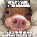 morning smile | ALWAYS SMILE IN THE MORNING. IT MAKES PEOPLE WONDER WHAT YOU DID LAST NIGHT | image tagged in good morning,smile,funny,memes | made w/ Imgflip meme maker