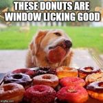 Dog Donuts | THESE DONUTS ARE WINDOW LICKING GOOD | image tagged in dog donuts | made w/ Imgflip meme maker